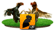 COCKFT Icon - Klik untuk membuka COCKFT